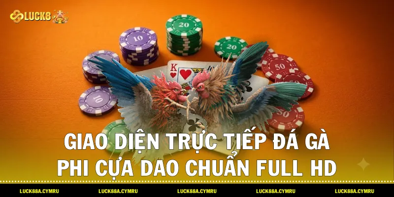 Giao diện trực tiếp Đá gà Phi cựa dao chuẩn Full HD tại đấu trường quốc tế Luck8